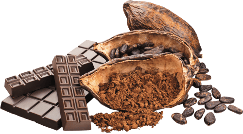 bienfaits du cacao